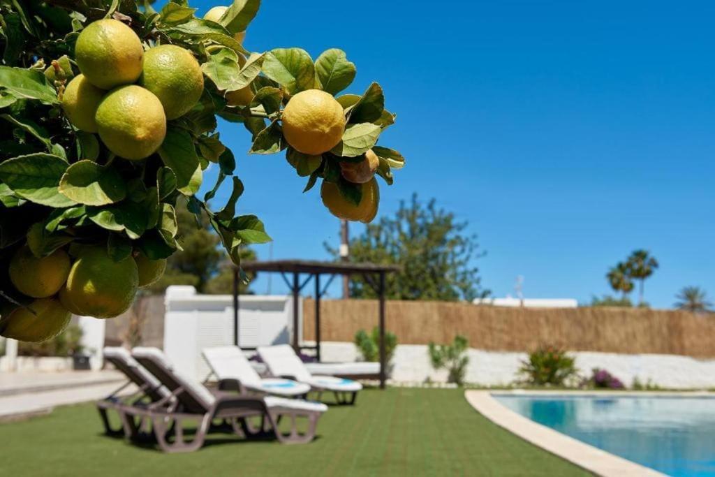 The Lovely Villa Ibiza Extérieur photo